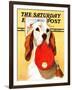 "Hunting Dog and Cap," Saturday Evening Post Cover, October 29, 1938-Jack Murray-Framed Giclee Print