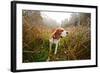 Hunting Dog in the Foggy Morning in Forest-Igor Normann-Framed Photographic Print