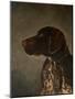 Hunting Dog-Marian Parsons-Mounted Art Print