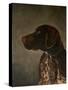 Hunting Dog-Marian Parsons-Stretched Canvas