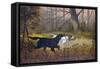 Hunting Dogs in Woods-null-Framed Stretched Canvas