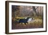 Hunting Dogs in Woods-null-Framed Giclee Print