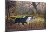 Hunting Dogs in Woods-null-Mounted Giclee Print