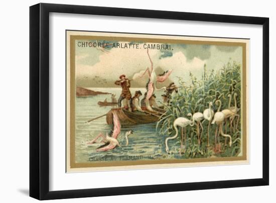 Hunting Flamingos, Spain-null-Framed Giclee Print