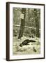 Hunting Fox Austria 1891-null-Framed Giclee Print