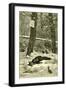 Hunting Fox Austria 1891-null-Framed Giclee Print