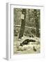 Hunting Fox Austria 1891-null-Framed Giclee Print