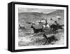 Hunting Guanacos with the Bolas, South America, 1877-null-Framed Stretched Canvas