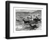 Hunting Guanacos with the Bolas, South America, 1877-null-Framed Giclee Print
