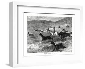 Hunting Guanacos with the Bolas, South America, 1877-null-Framed Giclee Print