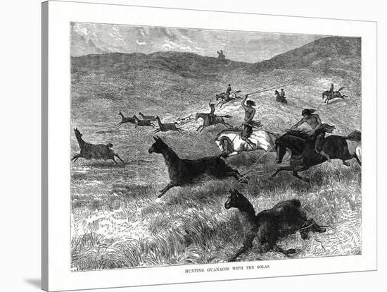 Hunting Guanacos with the Bolas, South America, 1877-null-Stretched Canvas