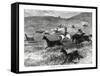 Hunting Guanacos with the Bolas, South America, 1877-null-Framed Stretched Canvas