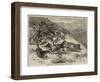 Hunting in India, a Leopard Hunt with Foxhounds at Ootacamund-George Bouverie Goddard-Framed Giclee Print