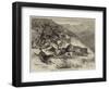 Hunting in India, a Leopard Hunt with Foxhounds at Ootacamund-George Bouverie Goddard-Framed Giclee Print