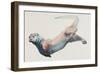 Hunting in the Deep-Mark Adlington-Framed Giclee Print