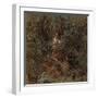 'Hunting in Western prairie country, a covey of quail and a pointer - in corn stubble', 1903-Elmer Underwood-Framed Photographic Print