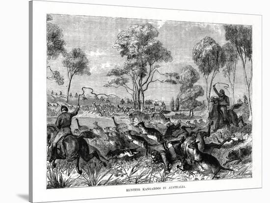 Hunting Kangaroos, Australia, 1877-null-Stretched Canvas