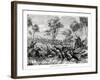 Hunting Kangaroos, Australia, 1877-null-Framed Giclee Print