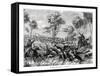 Hunting Kangaroos, Australia, 1877-null-Framed Stretched Canvas