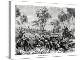 Hunting Kangaroos, Australia, 1877-null-Stretched Canvas
