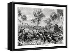 Hunting Kangaroos, Australia, 1877-null-Framed Stretched Canvas