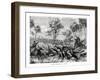 Hunting Kangaroos, Australia, 1877-null-Framed Giclee Print