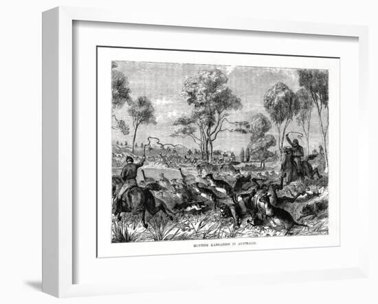 Hunting Kangaroos, Australia, 1877-null-Framed Giclee Print