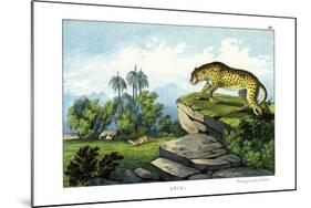 Hunting Leopard, 1860-null-Mounted Giclee Print