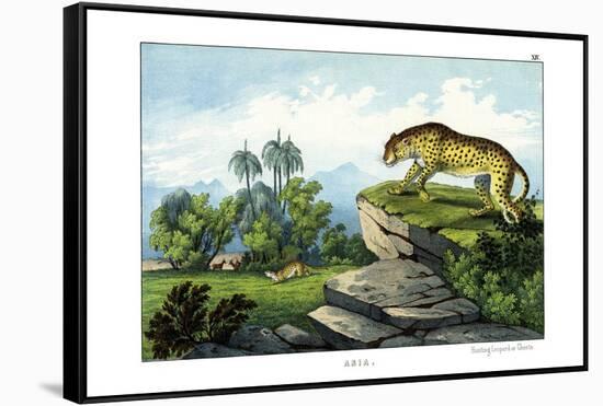 Hunting Leopard, 1860-null-Framed Stretched Canvas