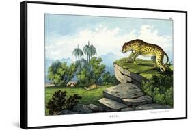 Hunting Leopard, 1860-null-Framed Stretched Canvas