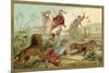 Hunting Lion in Africa-null-Mounted Giclee Print