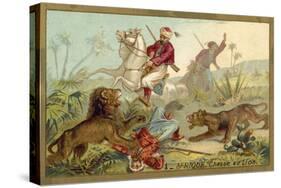 Hunting Lion in Africa-null-Stretched Canvas