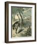 Hunting Ostrich-Oswald Levens-Framed Art Print