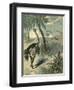 Hunting Ostrich-Oswald Levens-Framed Art Print