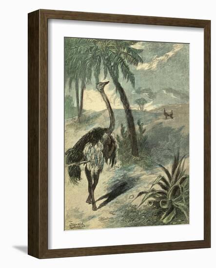 Hunting Ostrich-Oswald Levens-Framed Art Print