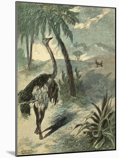 Hunting Ostrich-Oswald Levens-Mounted Art Print