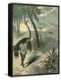 Hunting Ostrich-Oswald Levens-Framed Stretched Canvas