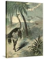 Hunting Ostrich-Oswald Levens-Stretched Canvas