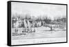 Hunting Party on Penguin Island in the Falkland Islands Taken from Viaggio Di Duperrey-null-Framed Stretched Canvas