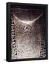 Essential Black