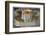 Hunting Scene in the Gran Khan Palace in Peking (Beijing)-null-Framed Photographic Print