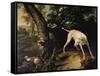 Hunting Scene-Alexandre-Francois Desportes-Framed Stretched Canvas