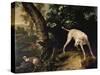 Hunting Scene-Alexandre-Francois Desportes-Stretched Canvas