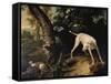 Hunting Scene-Alexandre-Francois Desportes-Framed Stretched Canvas