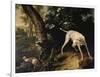 Hunting Scene-Alexandre-Francois Desportes-Framed Giclee Print