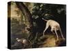 Hunting Scene-Alexandre-Francois Desportes-Stretched Canvas