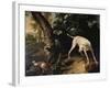 Hunting Scene-Alexandre-Francois Desportes-Framed Giclee Print