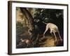 Hunting Scene-Alexandre-Francois Desportes-Framed Giclee Print