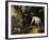 Hunting Scene-Alexandre-Francois Desportes-Framed Giclee Print