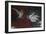 Hunting Scene-null-Framed Giclee Print